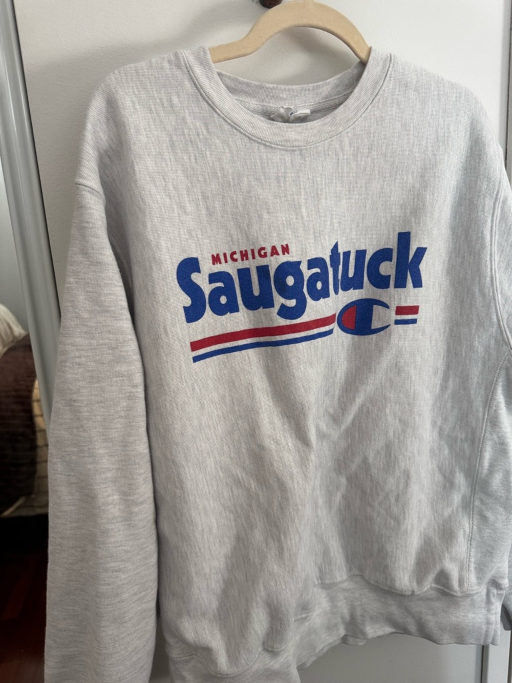 Champion Light Gray Saugatuck Michigan Crewneck with Blue & Red Graphic - Picture 5 of 5